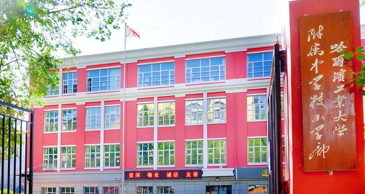 2023哈尔滨幼升小：哪些民办小学随机派位数较多？摇号难度较大？