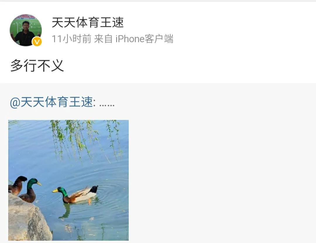 新闻聚焦：《天天体育》节目组“人才辈出”！“骂人”不留底线