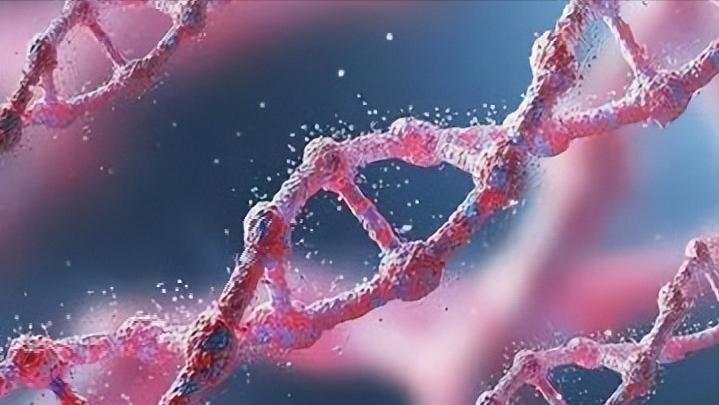 一个女性没有子宫会怎样,一个女性没有子宫会怎么样