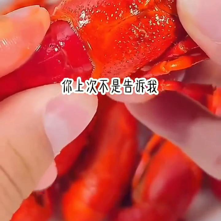 超级好看的小说,超级好看的生活片电视剧推荐