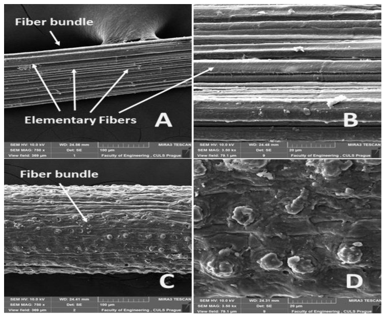 碱化处理之后，椰壳纤维和蕉麻纤维的拉抗强度是否会提升？