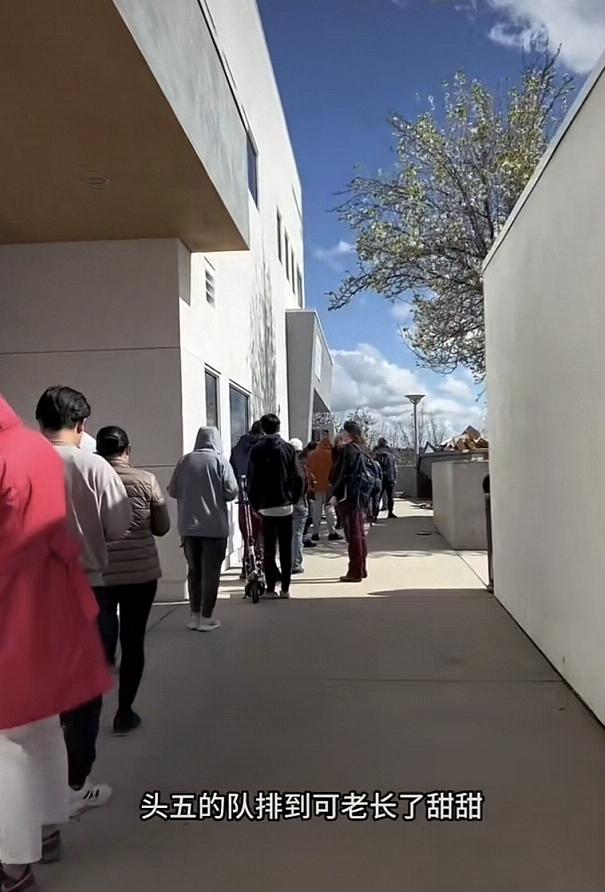 卡车夫妻美国领取救济食物,卡车司机美国领救济食物