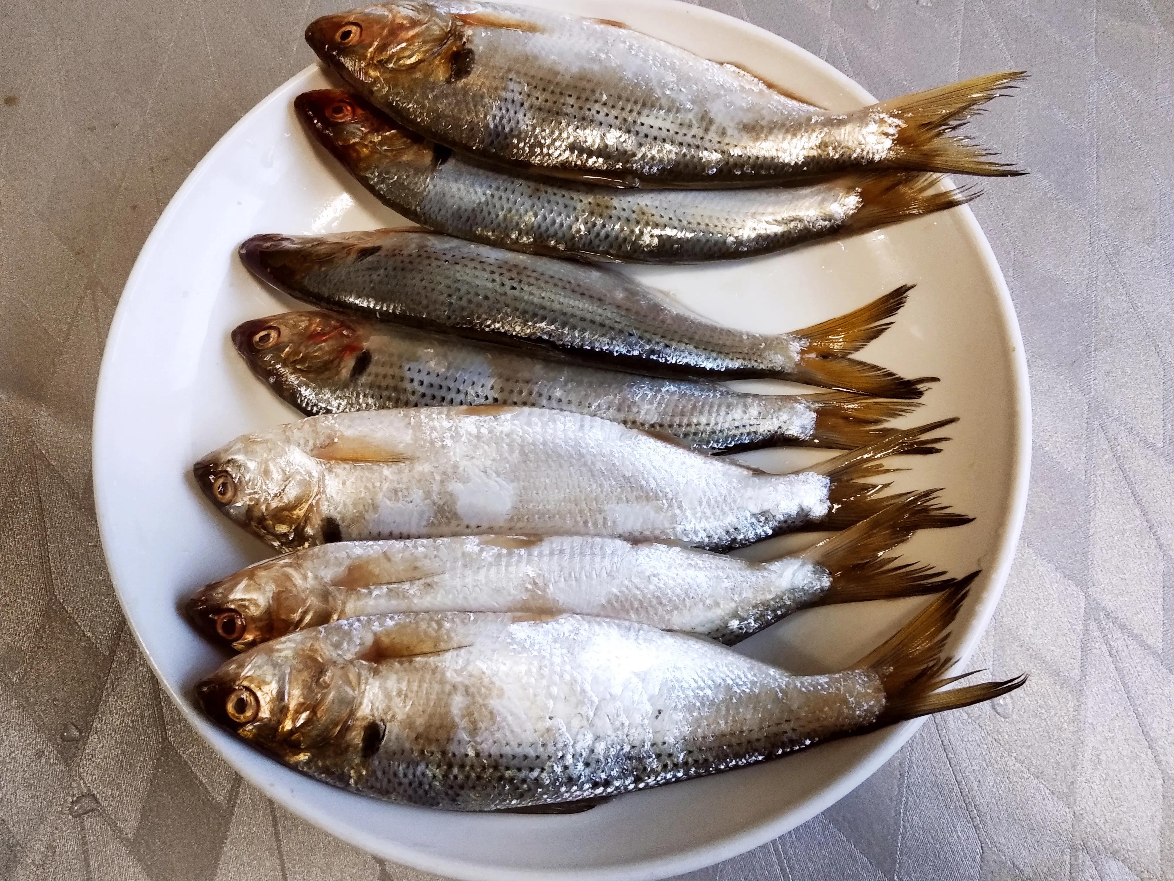 30种最常吃的海鱼图片大全,比较常见可以吃的海鱼