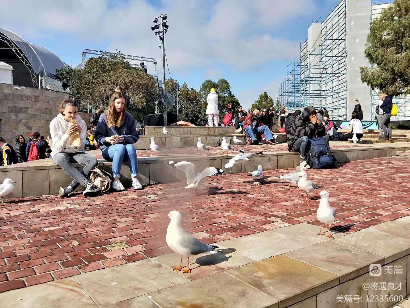 墨尔本旅游文化名城,游澳洲墨尔本