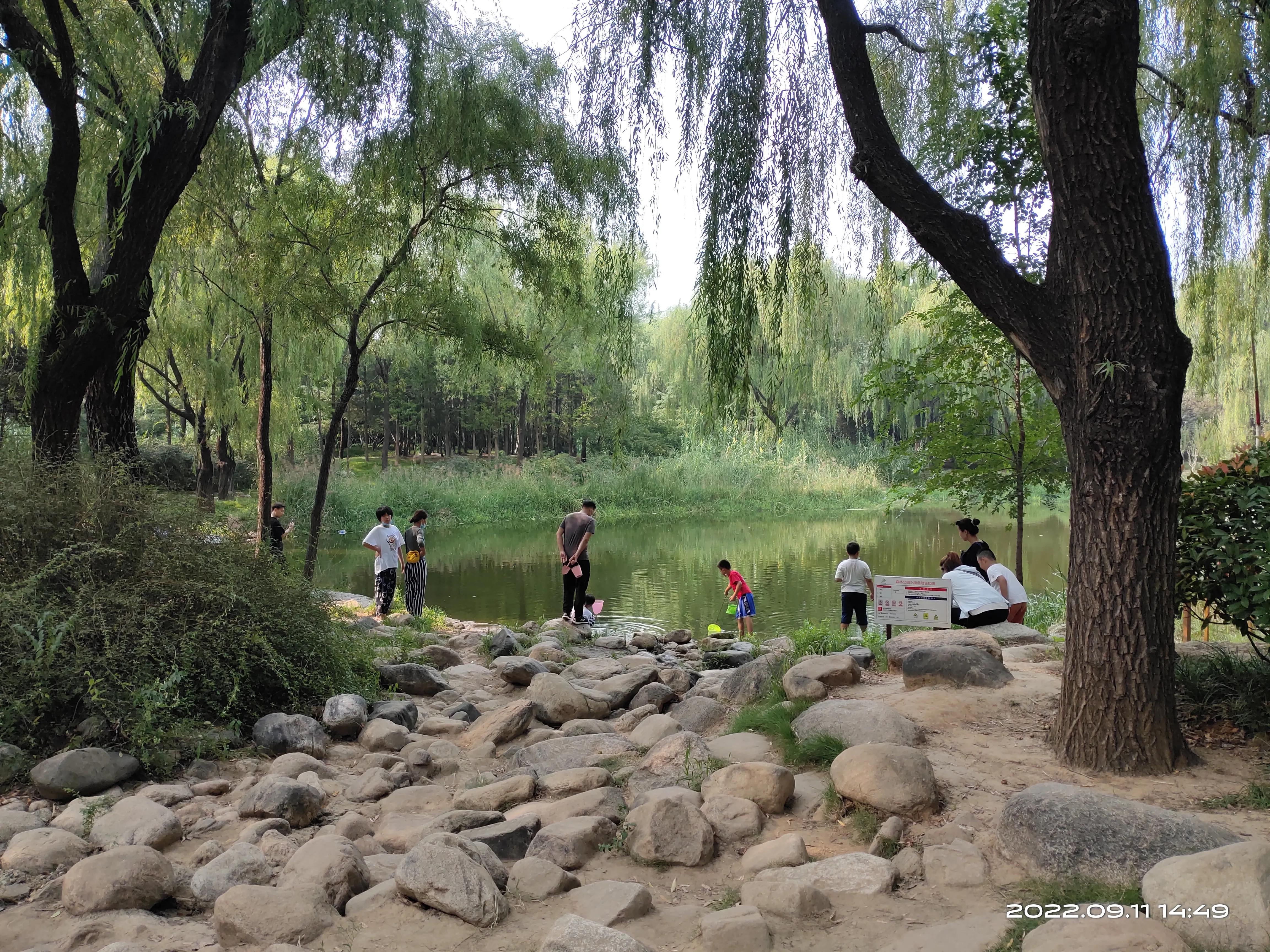 游济南森林公园作文,游济南森林公园攻略怎么写