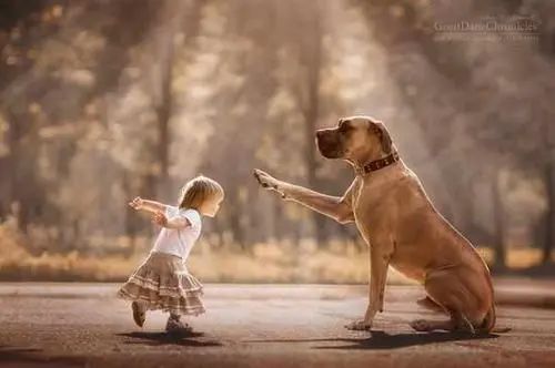 等待和陪伴是长情的告白,等待是为了更长情的陪伴与相守