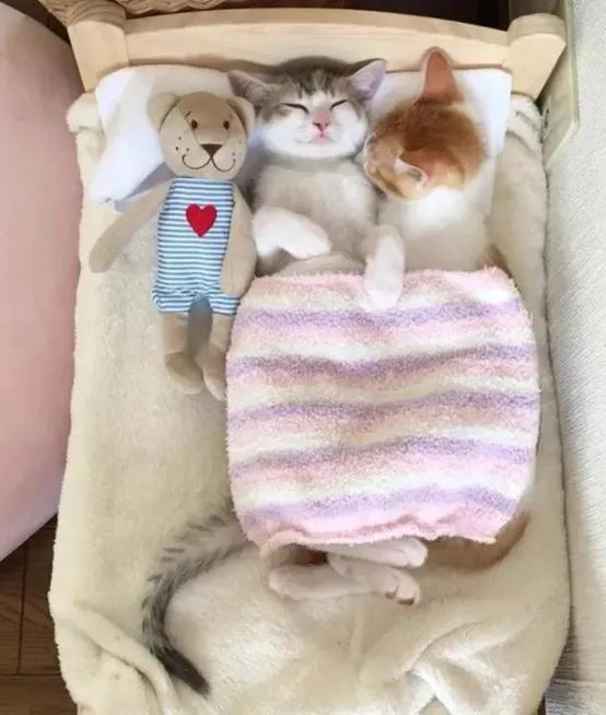 国庆借势文案,国庆营销活动朋友圈文案