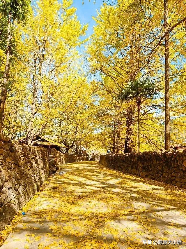 云南，80%年轻人最爱的度假圣地