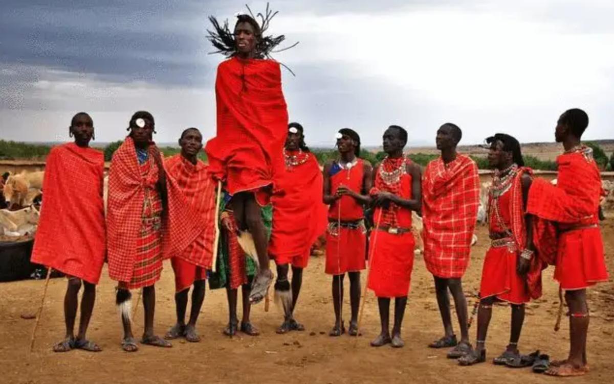 马赛人抢狮群的食物动图,马赛人从狮子豹子口中抢夺食物