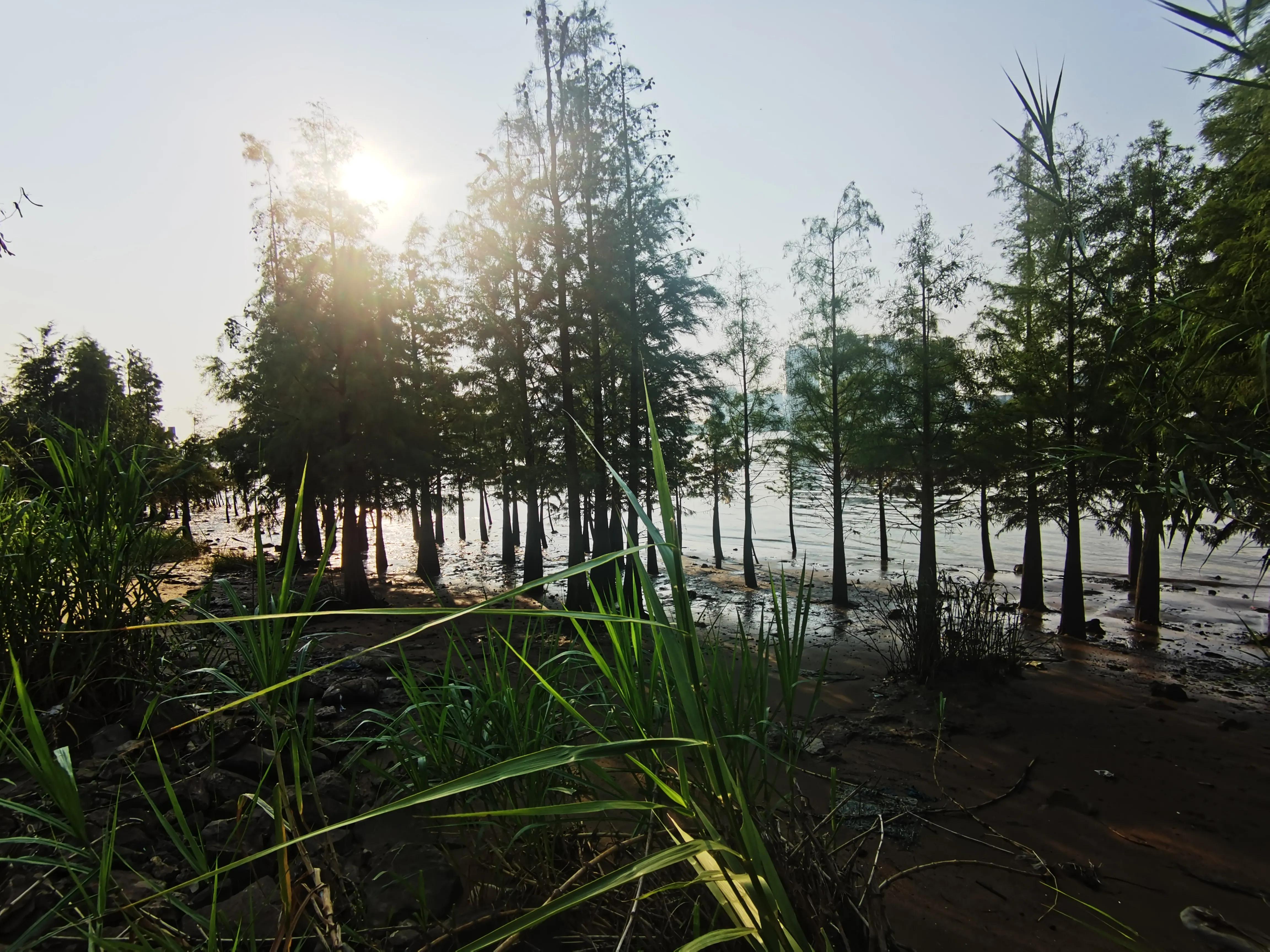 华杉讲透孙子兵法mp3,华杉讲透孙子兵法心得体会