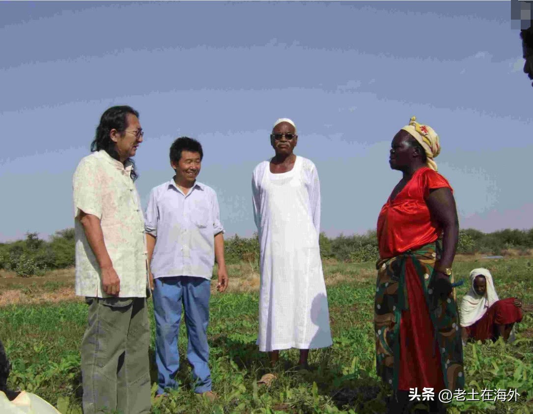 2千多中国人居住在苏丹，100多家中资企业，中国人现状如何？