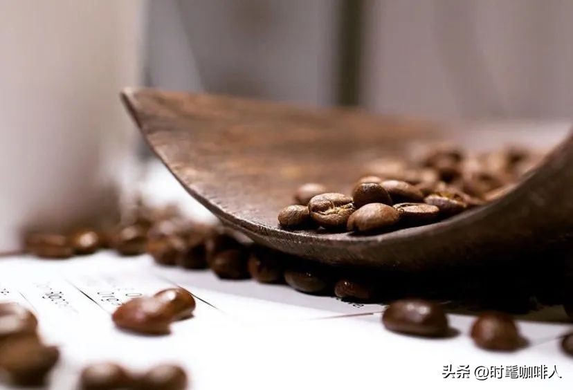 100%阿拉比卡咖啡推荐,100%阿拉比卡咖啡