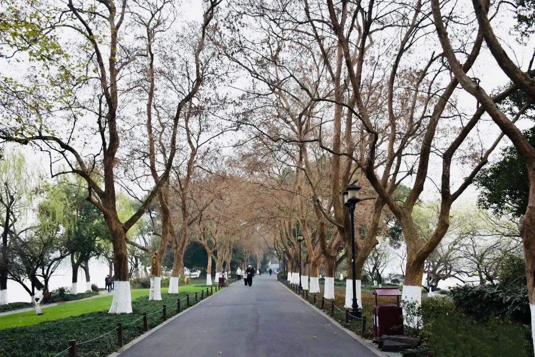 杭州西湖照片,杭州西湖旅游攻略