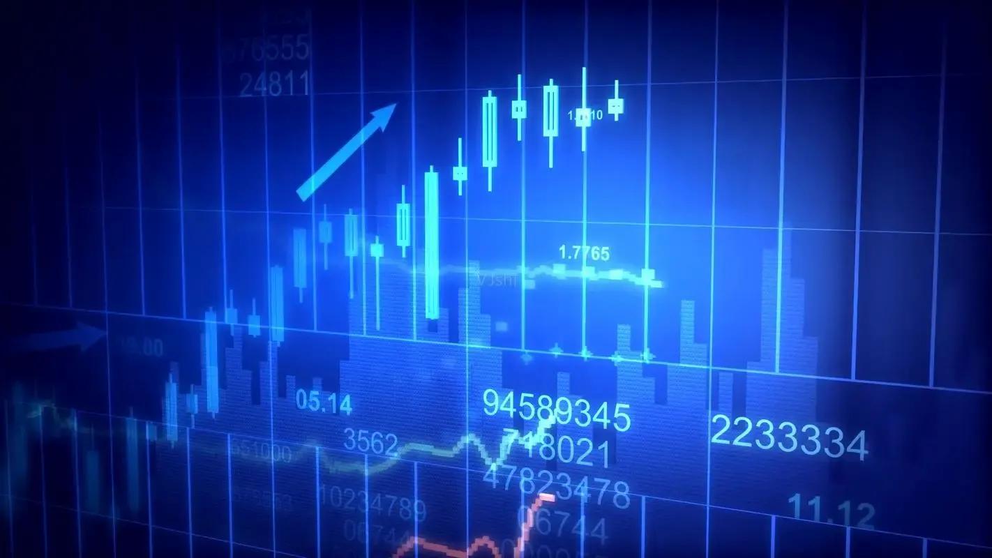 炒基金要不要看股市,炒基金要看板块吗