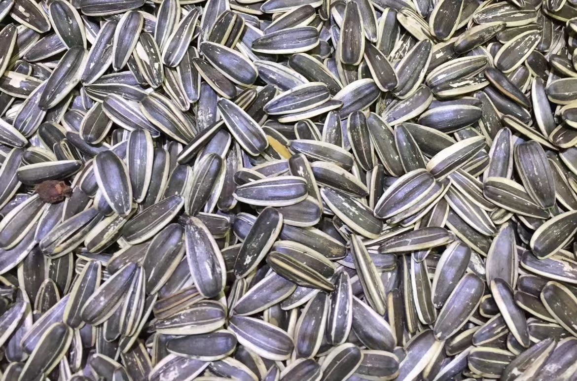 北京炒货栗子,北京炒货零食店铺