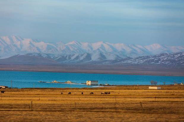 职业足球荒漠,中国足球荒漠