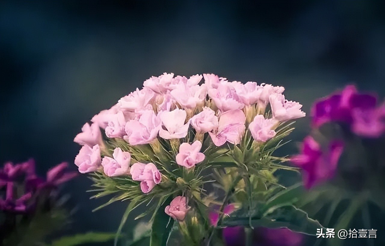 被人算计时应该做好哪些事,被人算计了要怎么防范才好
