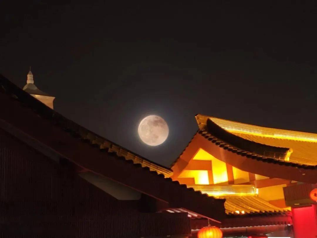 杜甫最有名的十首诗句带图,杜甫最经典的七律诗30首