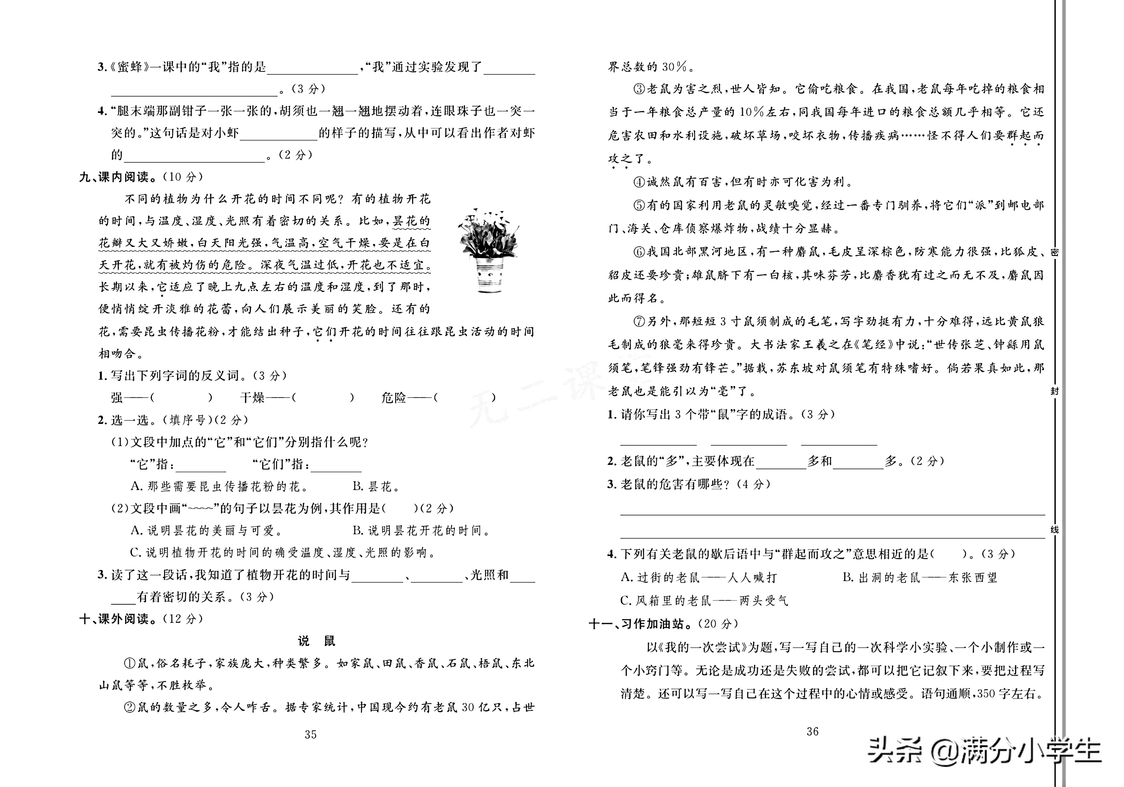 三年级语文下册人教版1-8测试卷,语文三年级下册期末整理与练习