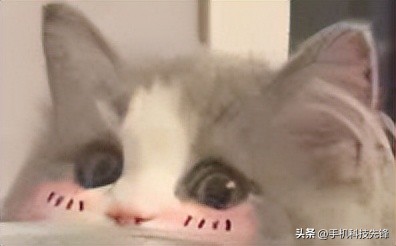 手机上免费制作证件照的方法,教你手机就能制作证件照