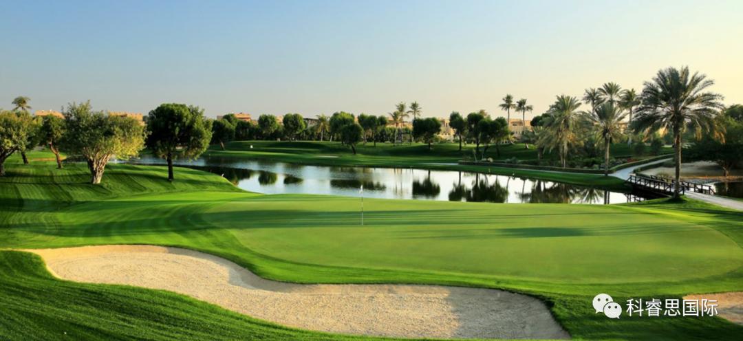 在迪拜打高尔夫价格,迪拜打高尔夫沙漠球场