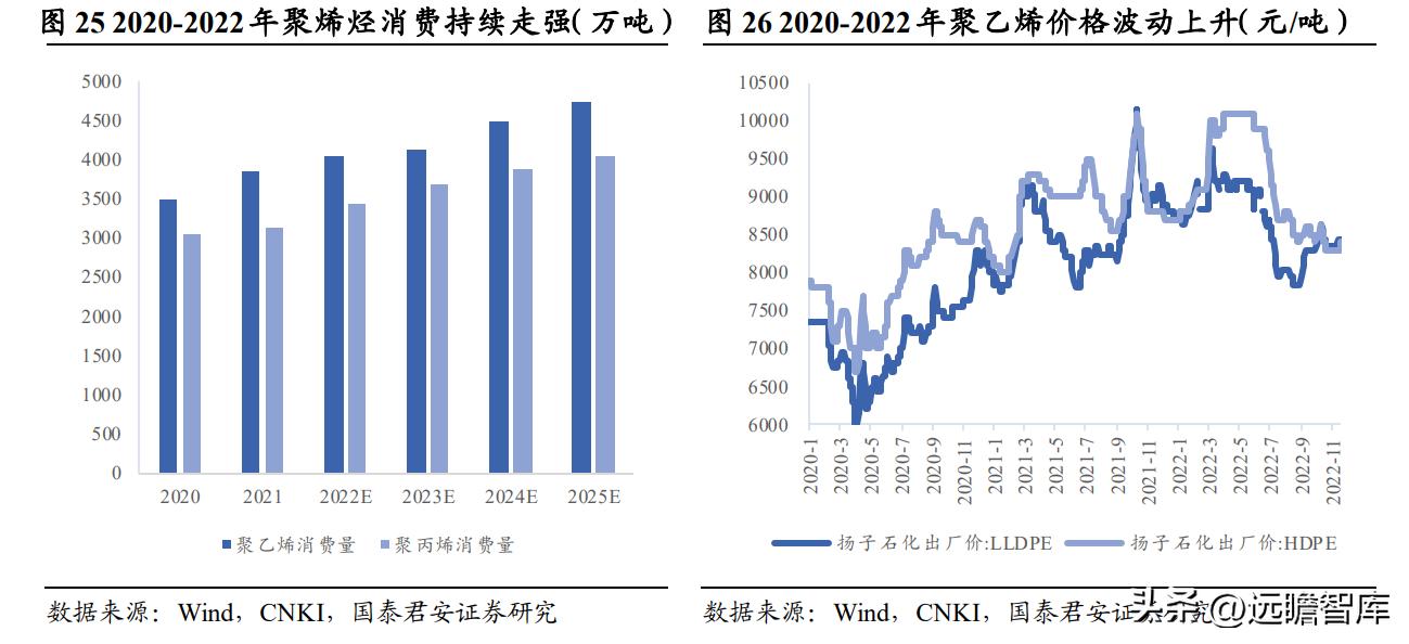 高分子材料龙头，风光股份：抗氧剂奋发踔厉，催化剂未来可期