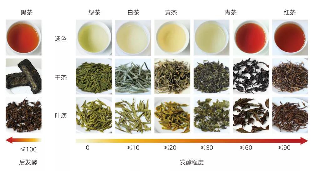 手把手教您买茶不入坑的诀窍,怎么买茶不会被坑