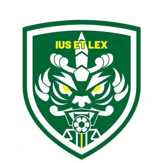 上海浦江绿米足球俱乐部,上海职业足球俱乐部