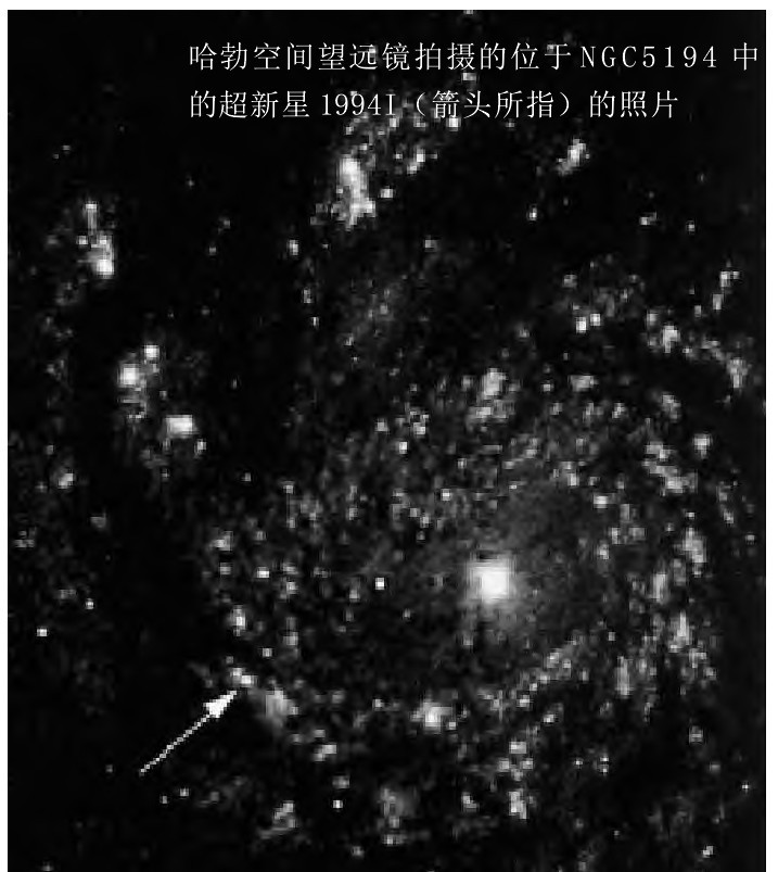 十二星座中的猎犬座,88星座属于哪个星系