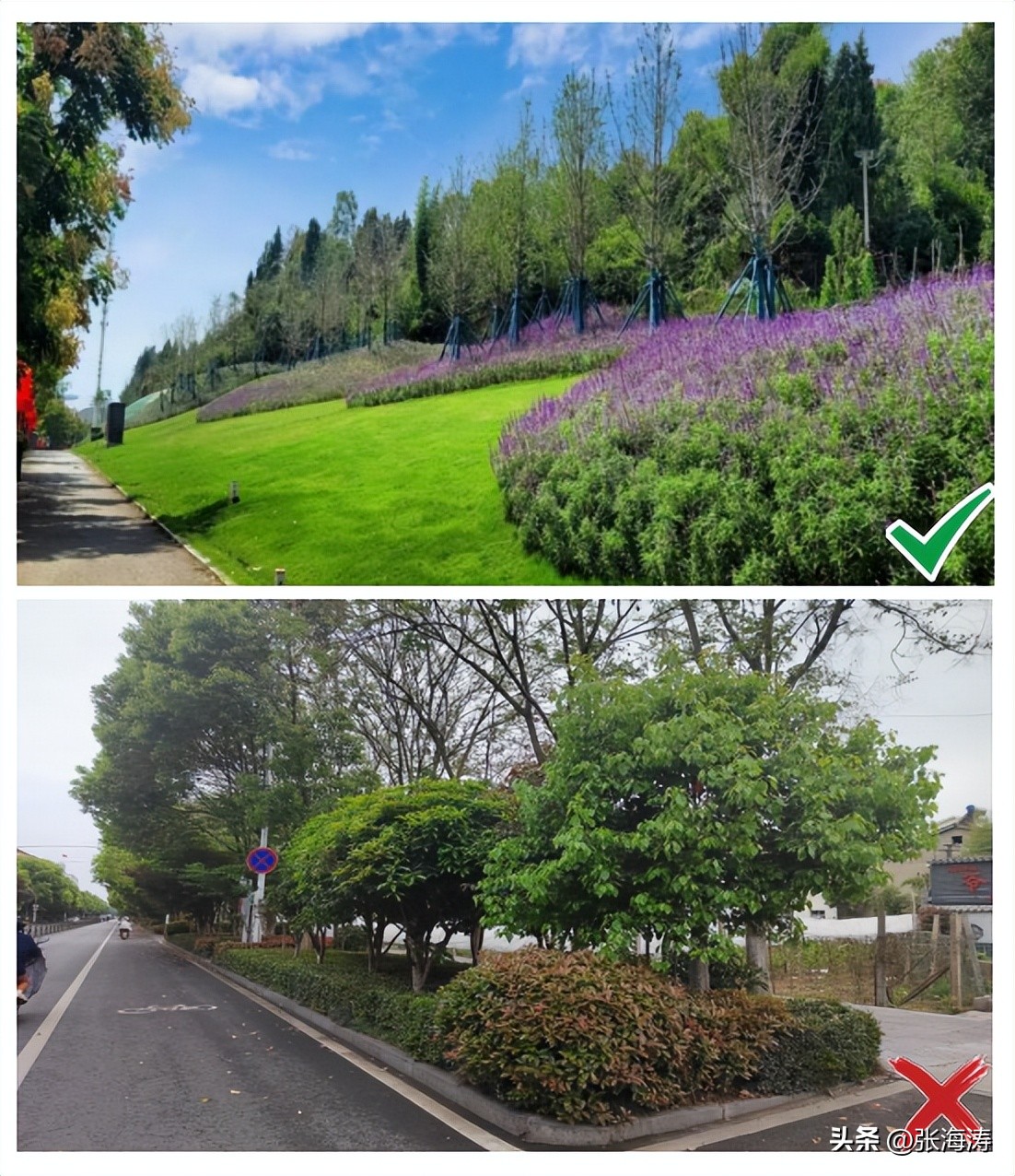 湖北园林绿化工程施工,湖北园林绿化景观设计施工养护