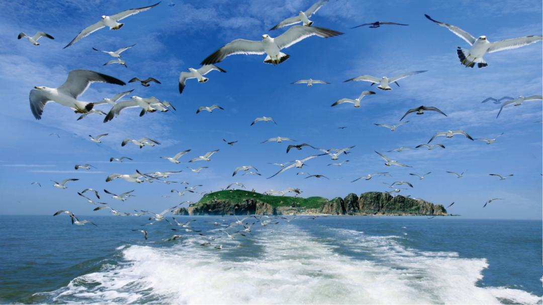 威海2天1夜攻略,威海2天一夜旅游攻略