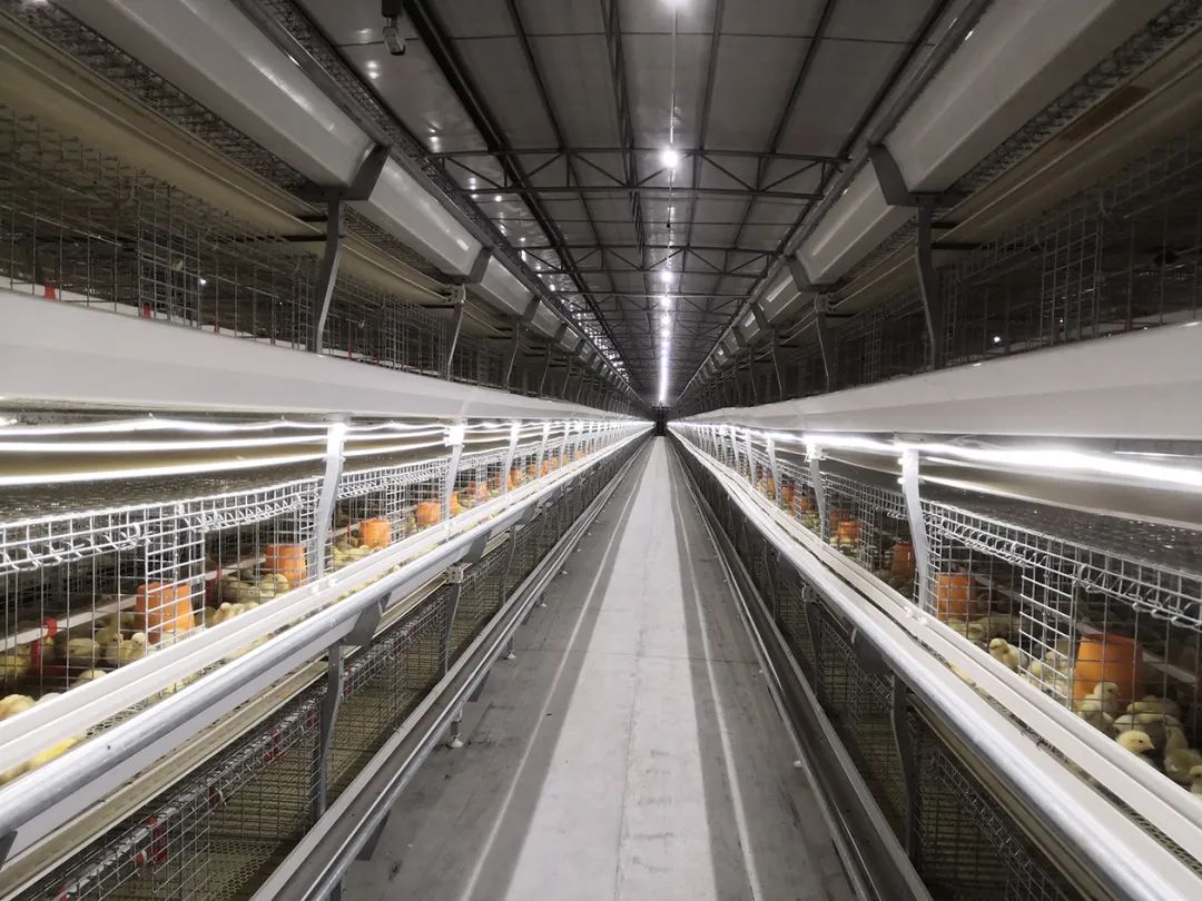 喜迎二十大|水台镇：东融桥头堡康养美水台