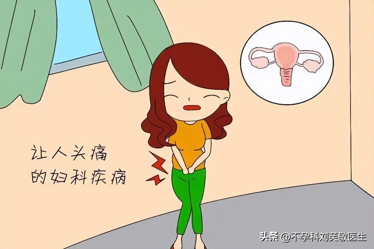 胚胎最爱什么样的内膜？怎么把薄内膜养成好内膜！