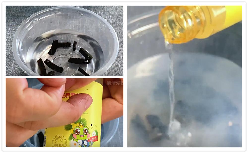 蚊香断了先别扔！放进水中泡一泡，解决生活大烦恼，真厉害