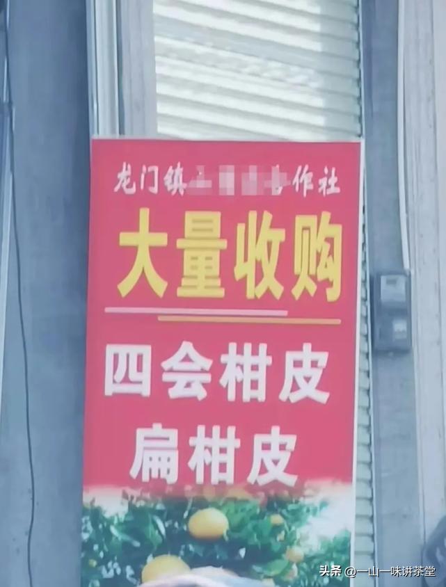 新会陈皮的产地有何特点,新会陈皮产区实地视频