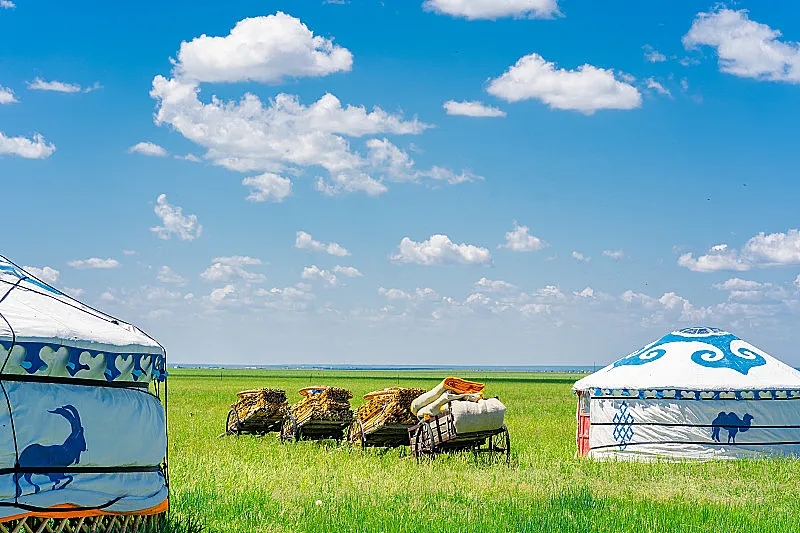 我国必去打卡的草原,呼伦贝尔值得去的草原