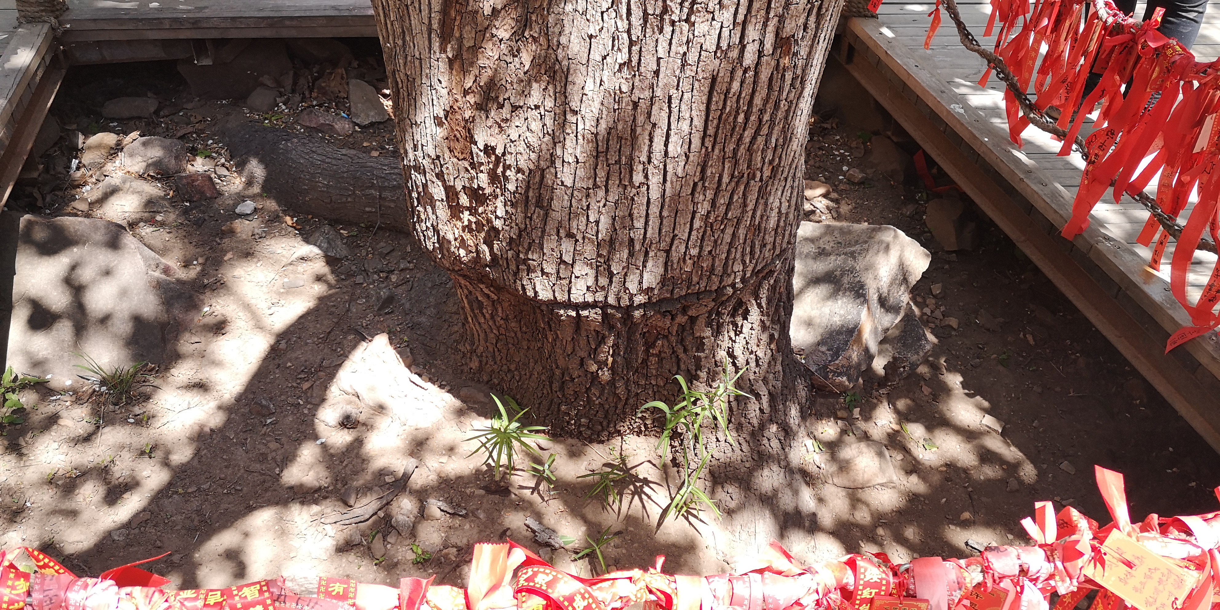 天津梨木台景区值得夏天去的地方,天津蓟县梨木台风景区路线