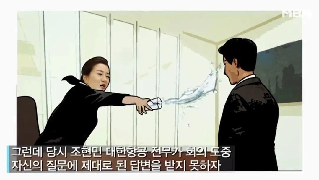 韩国“恶魔千金”：姐姐逼停飞机，妹妹一杯水泼掉2000亿