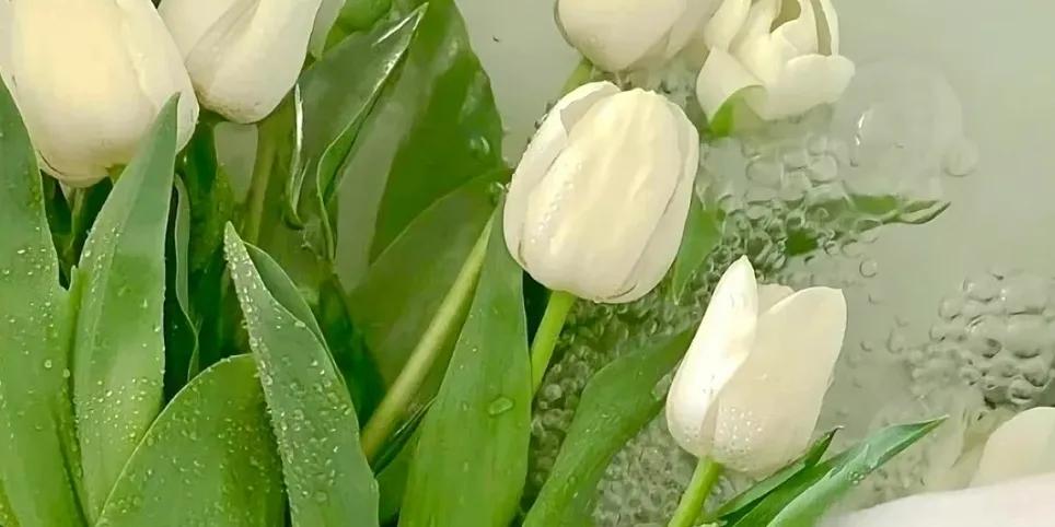 男朋友没有了分享欲怎么办,感觉男朋友不再有分享欲