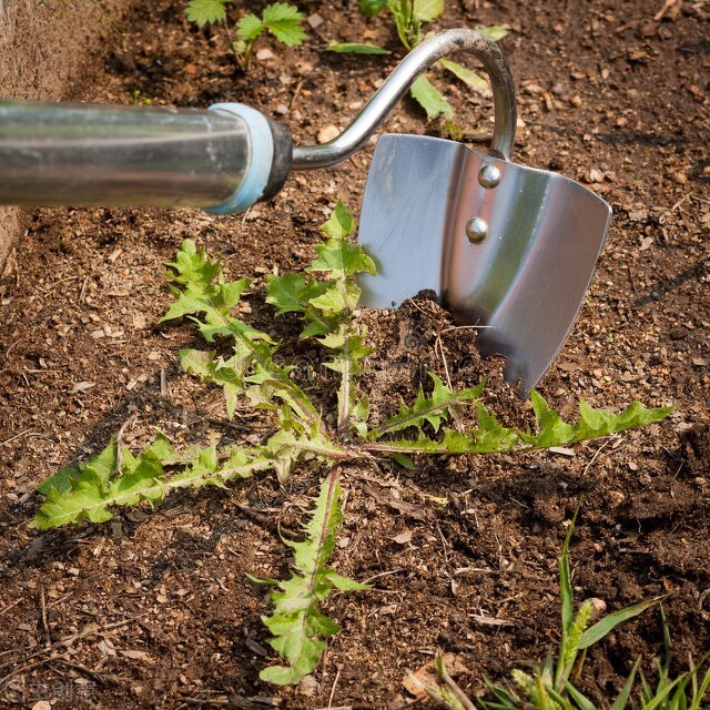 技术与革命,技术发展