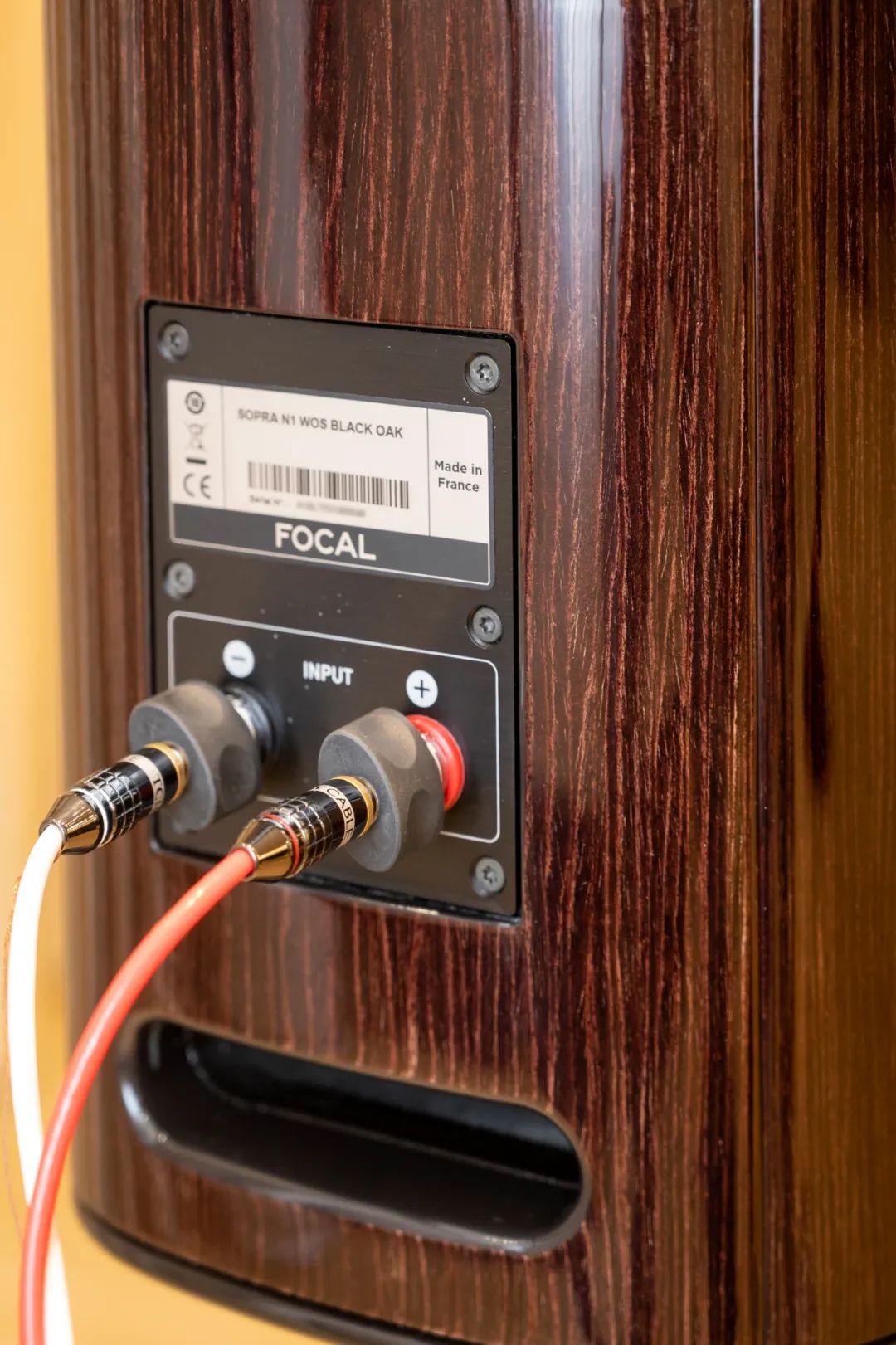 百元hifi入门套装,入门级hifi落地推荐