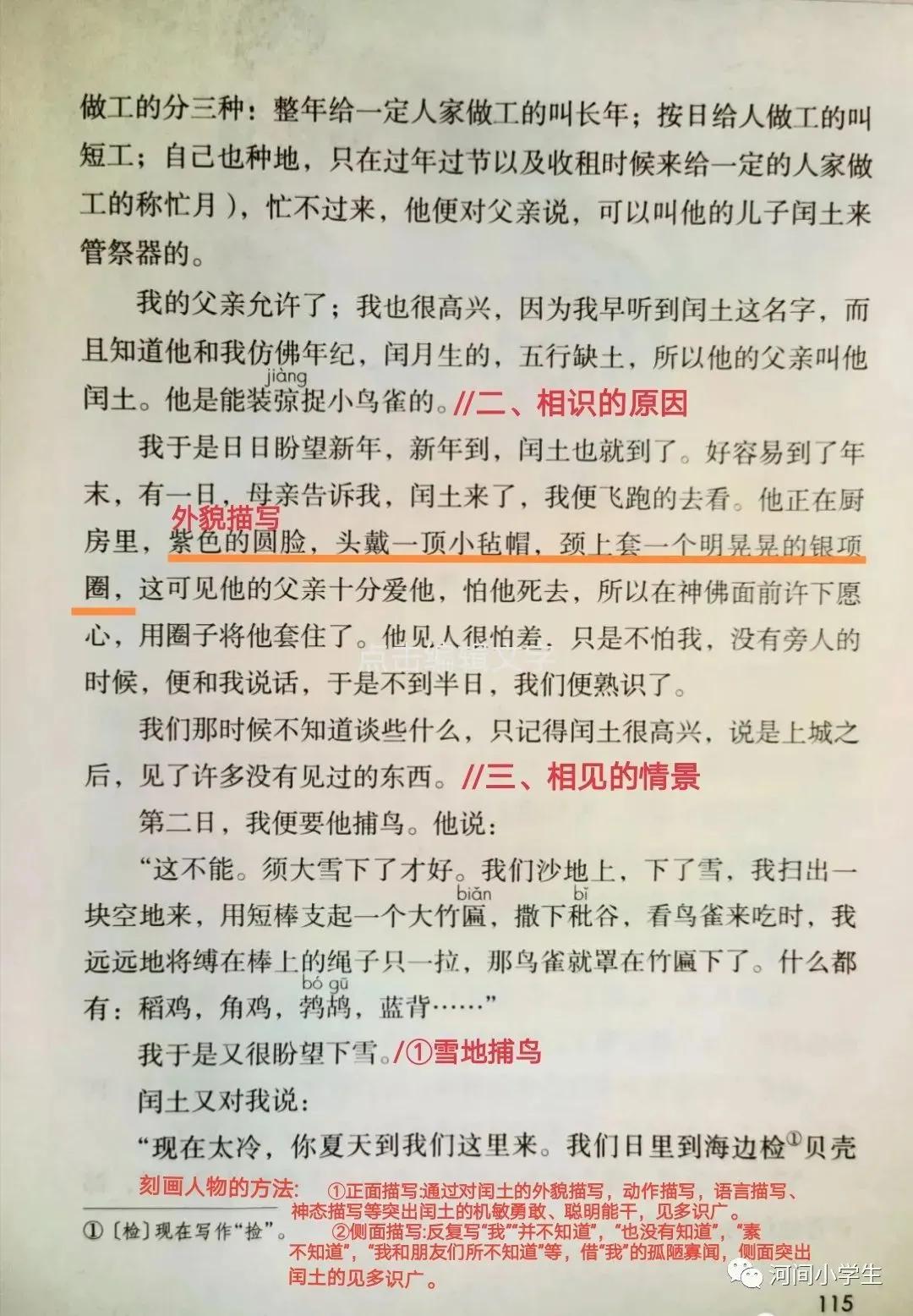 六年级语文上册第八单元教学重点和《25少年闰土》课堂笔记