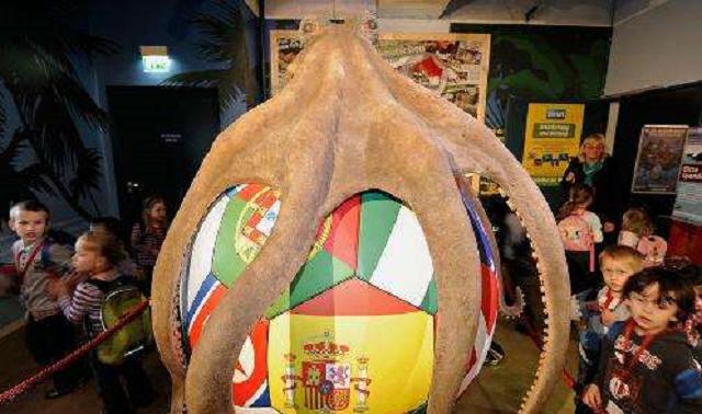 世界上最聪明的人类大脑,人类历史上最聪明的动物