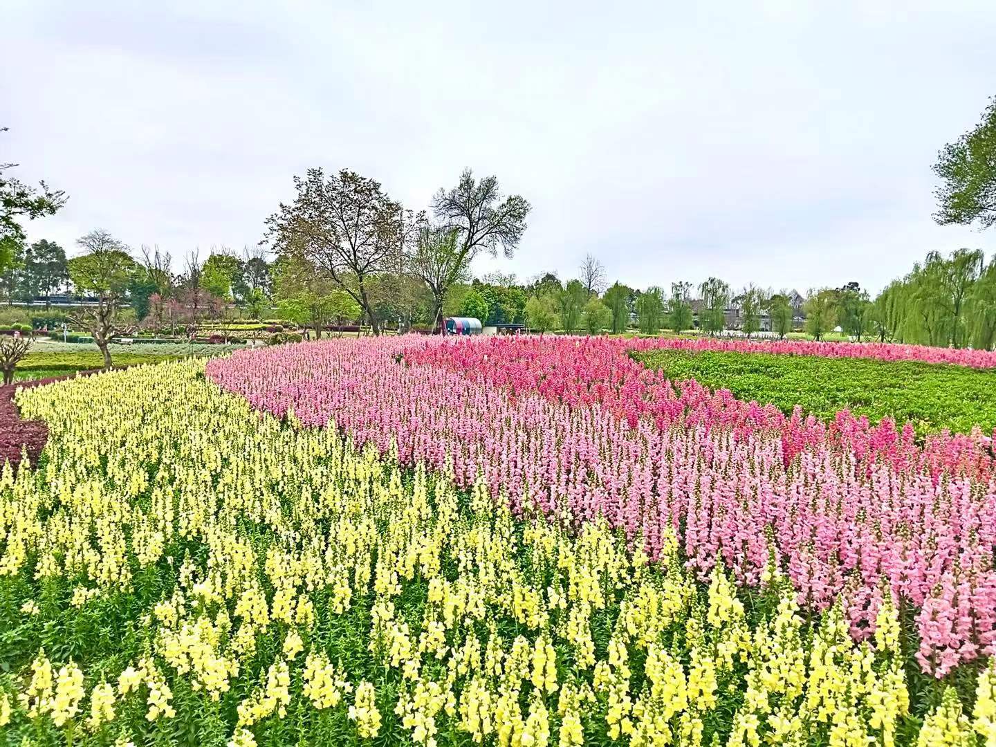 成都五一旅游十大好玩的景点,五一成都有哪些旅游景点