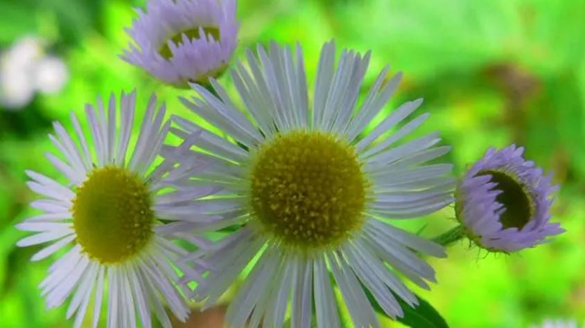 亲戚之间不能做的八件事,亲戚结仇