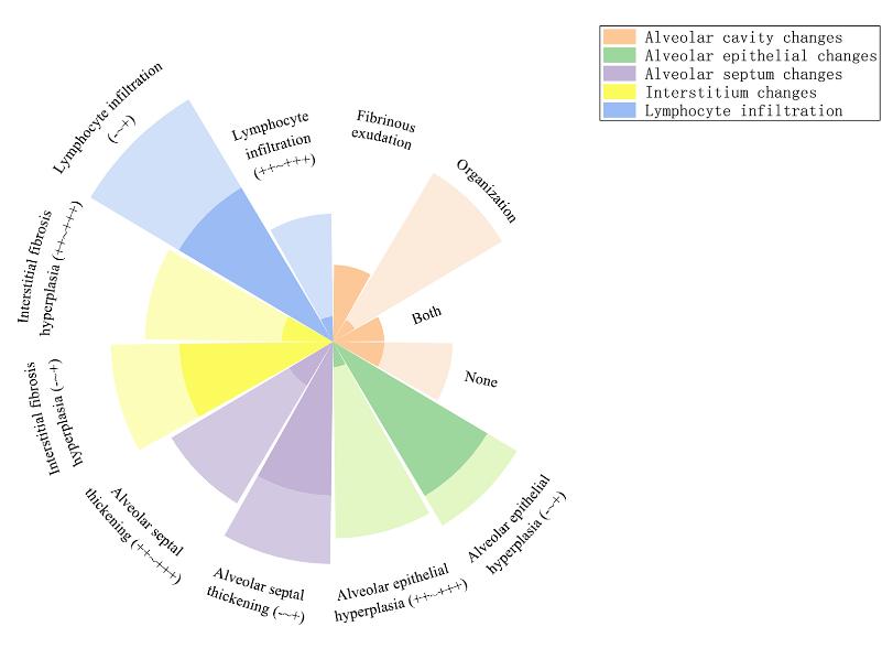 周承志湖北中医医院,周承志免疫治疗