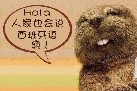 西语学习代词式动词和自复动词的区别