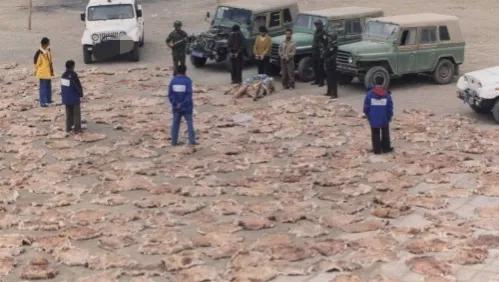 28年前发生了什么？为何40岁的索南达杰，被称作可可西里的保护神