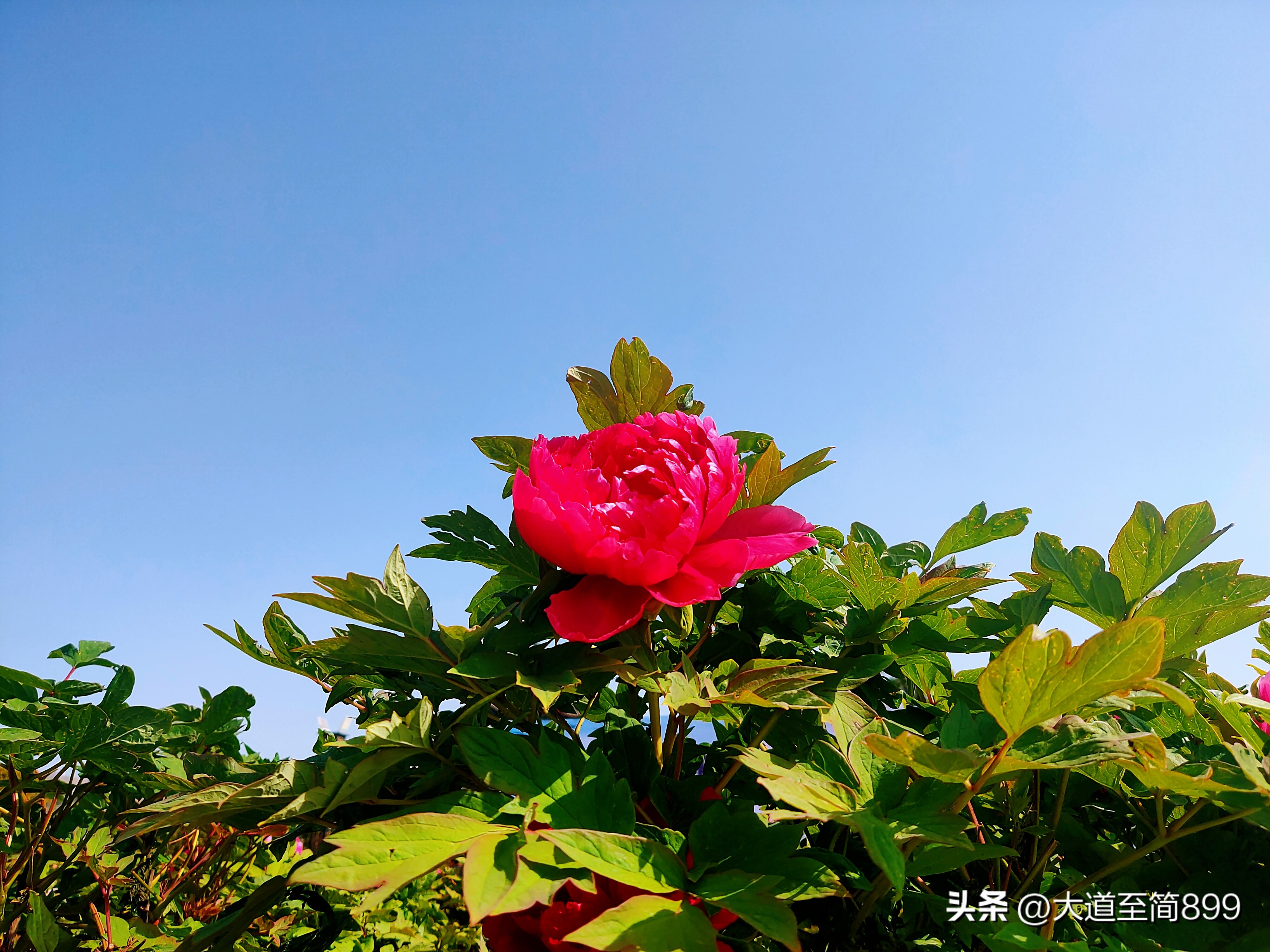 和宾果一起抓住春天的尾巴,与五菱缤果开启一场春日之旅