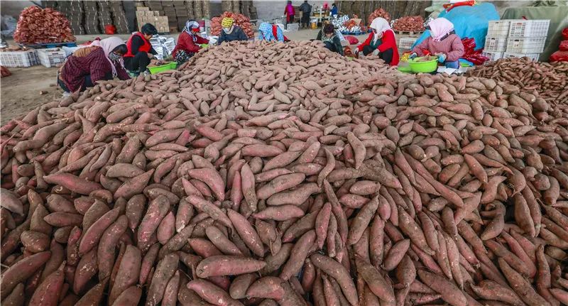 创业路上的“8”个选择，拓展你的认知